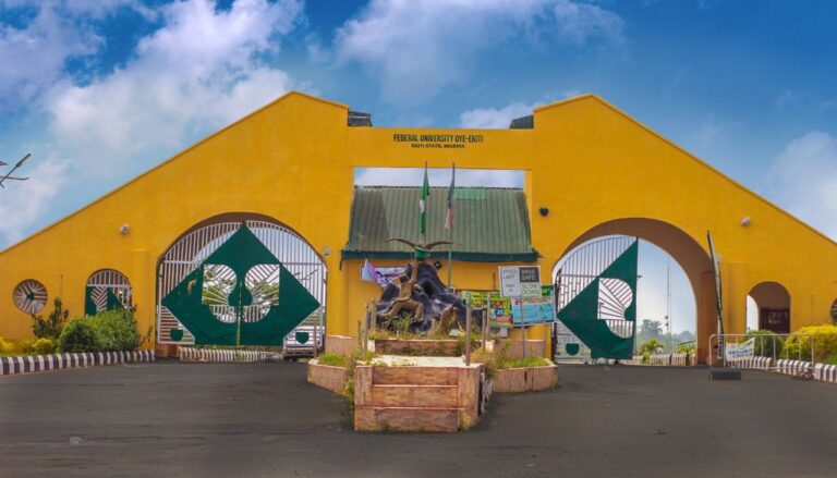 Federal University, Oye-Ekiti (FUOYE)