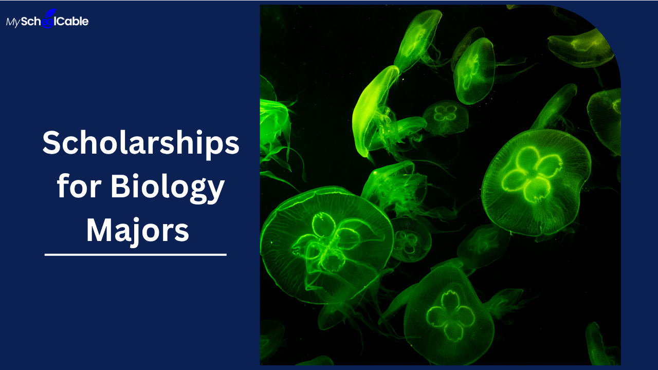 Scholarships for Biology Majors 
