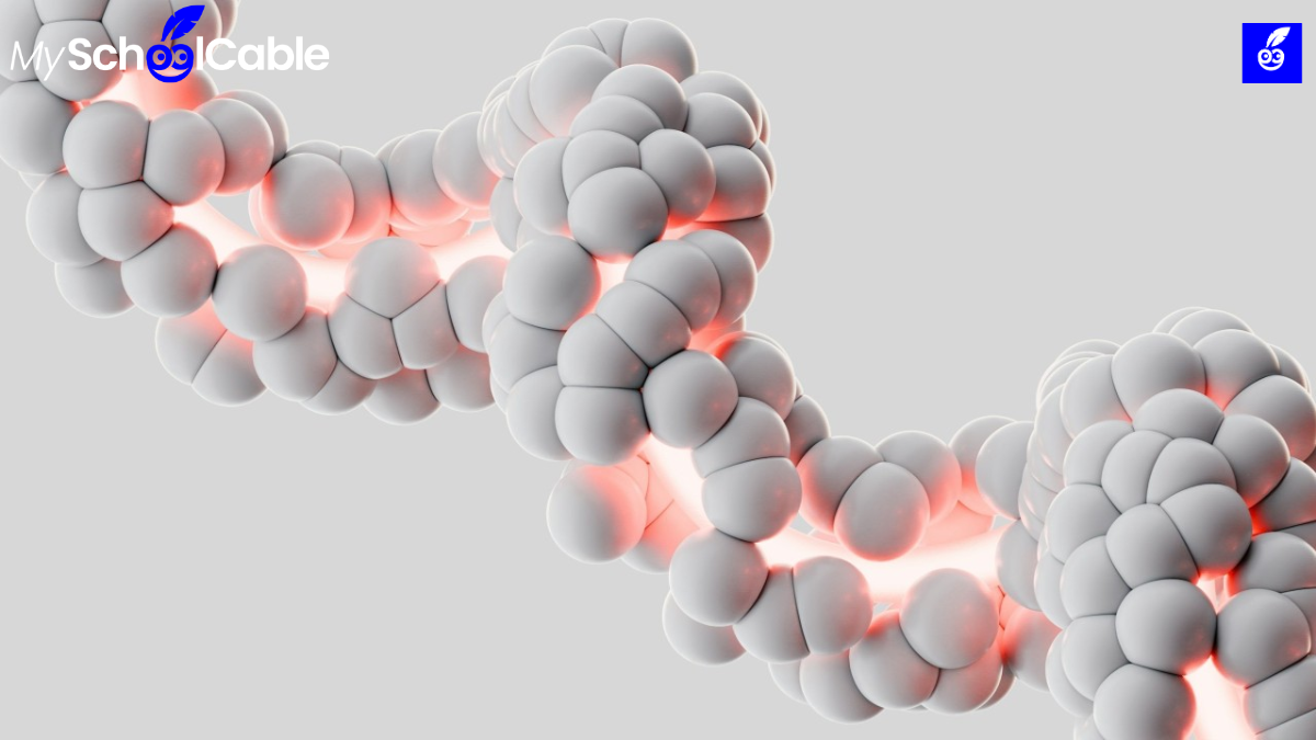 How to Write SSP Essay